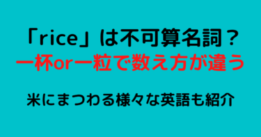 【riceは不可算名詞】「お米」って英語でどう数えるの？徹底解説！